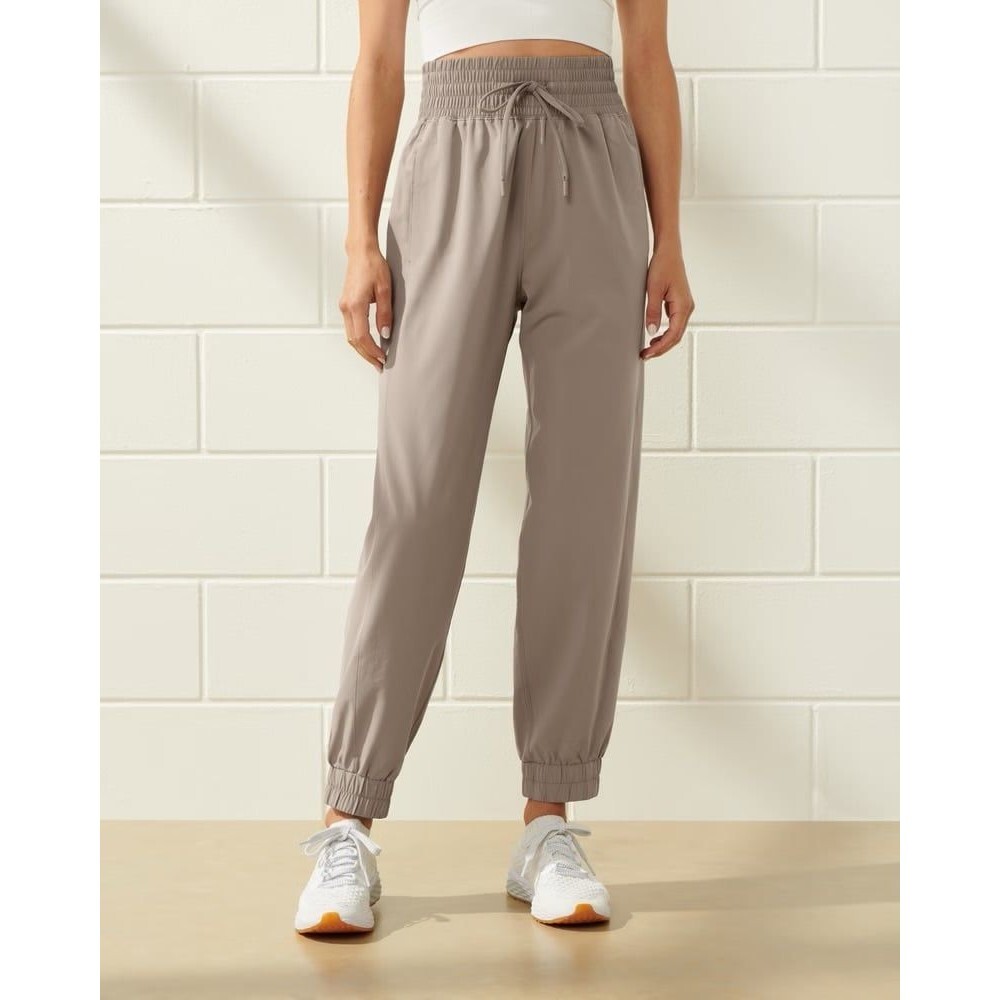 Abercrombie & Fitch Taupe Joggers